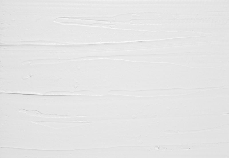 Elegant Plastered Ceilings