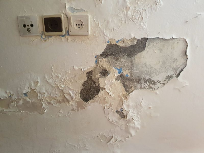 Residential Plaster Repair